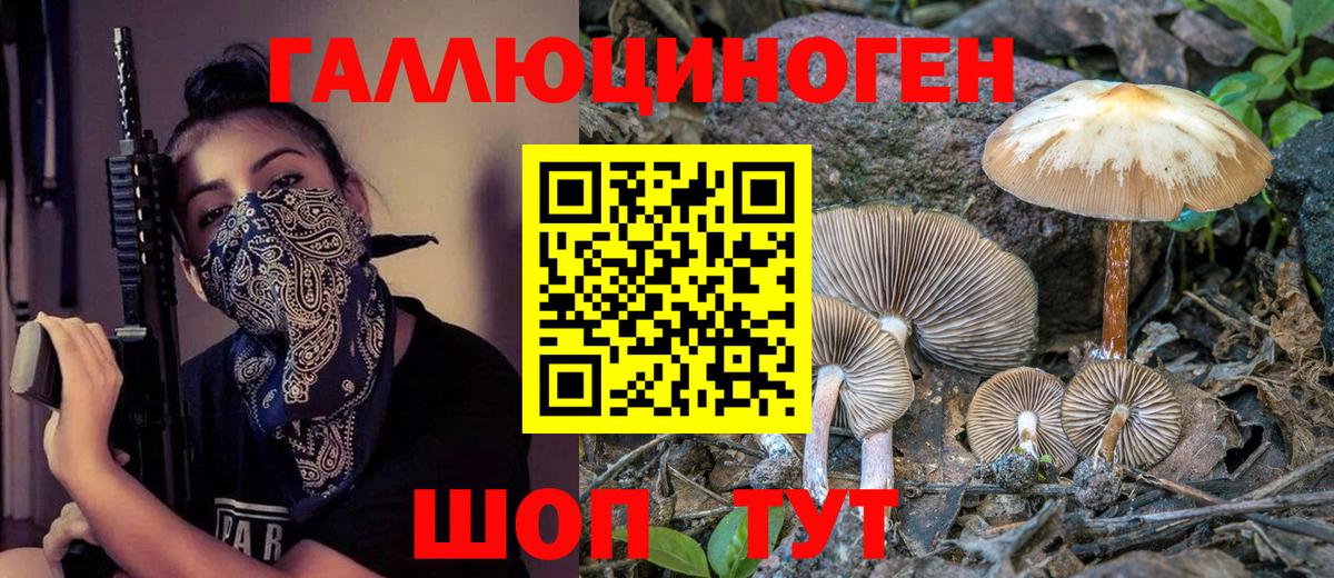 Лыткарино  купить наркоту  Галлюциногенные грибы GOLDEN TEACHER  Вход с VPN  Псилоцибиновые грибы ЛСД 